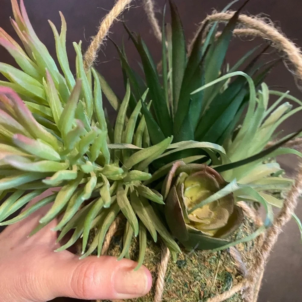 Hanging faux succulents